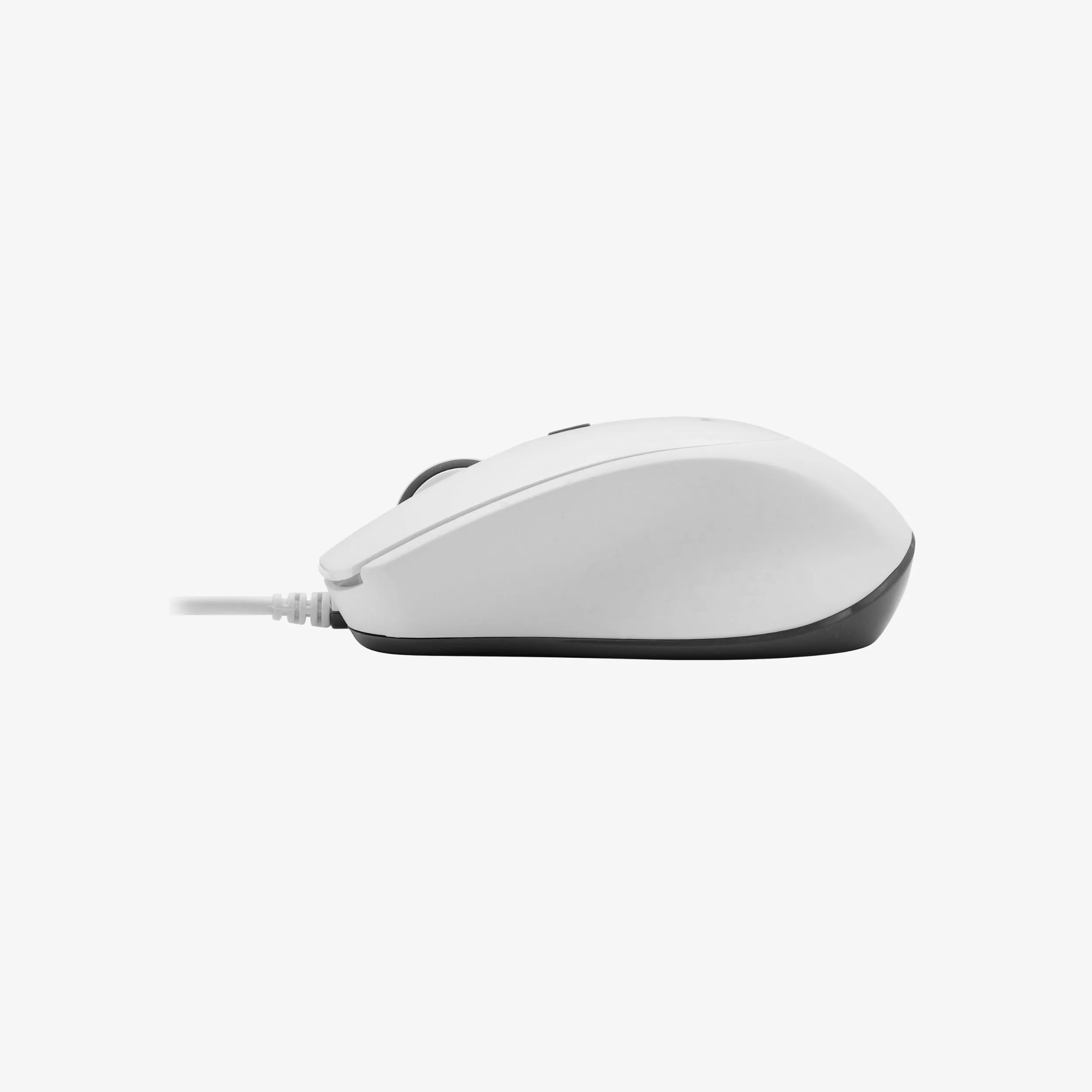 Ergo USB C Mouse For Mac / PC with Silent Click (White)