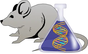 Mouse Factor XII Genetically Deficient Brain Tissue Lysate