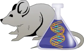 Mouse Factor XII Genetically Deficient Brain Tissue Lysate