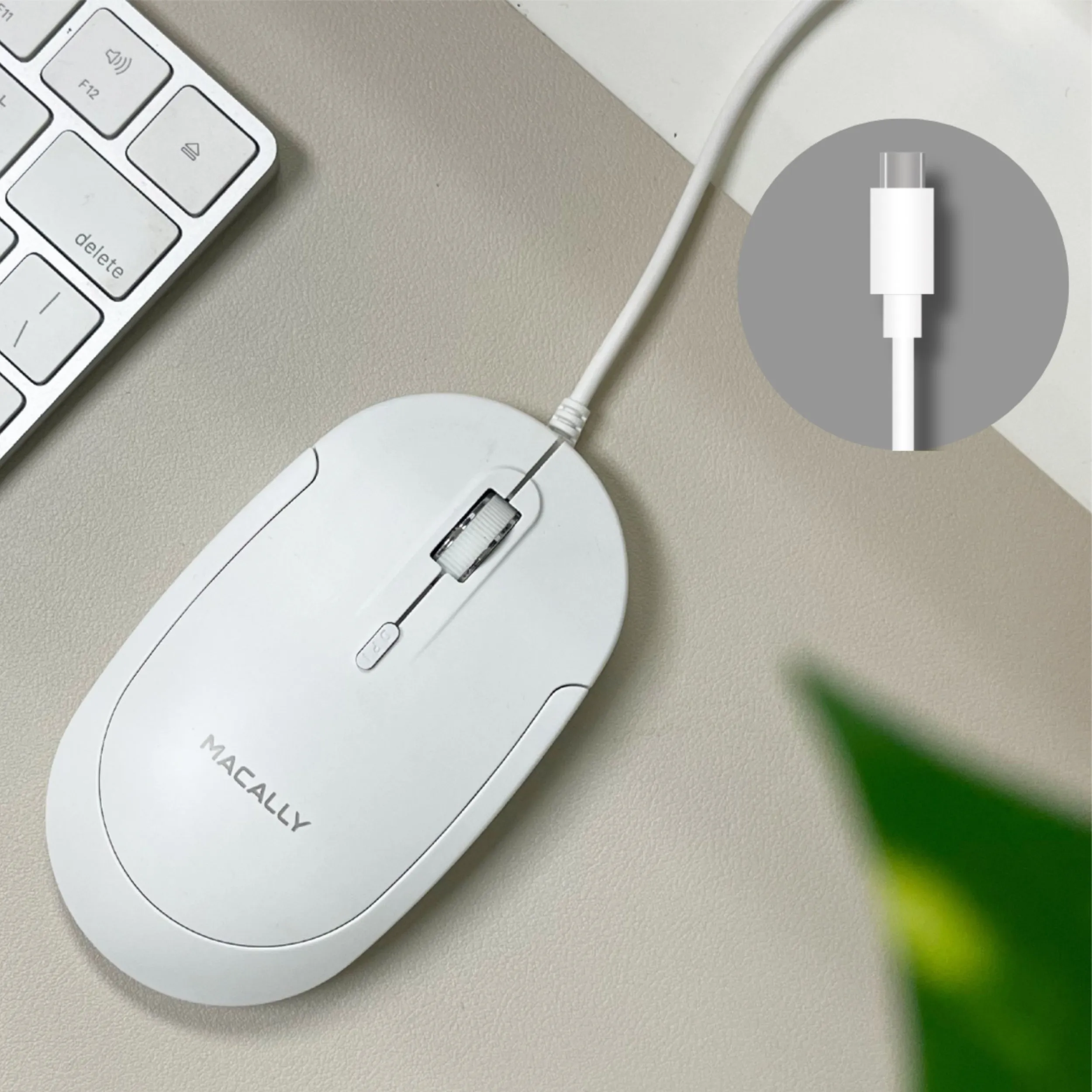 Silent USB C Mouse for Mac and PC (White)