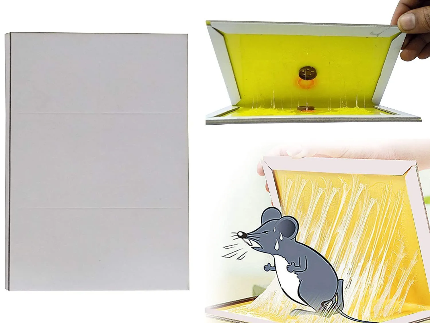 Your Brand Rodent Taps - Mouse Traps Insect Rodent Lizard Rat Catcher Adhesive Sticky Glue Pad