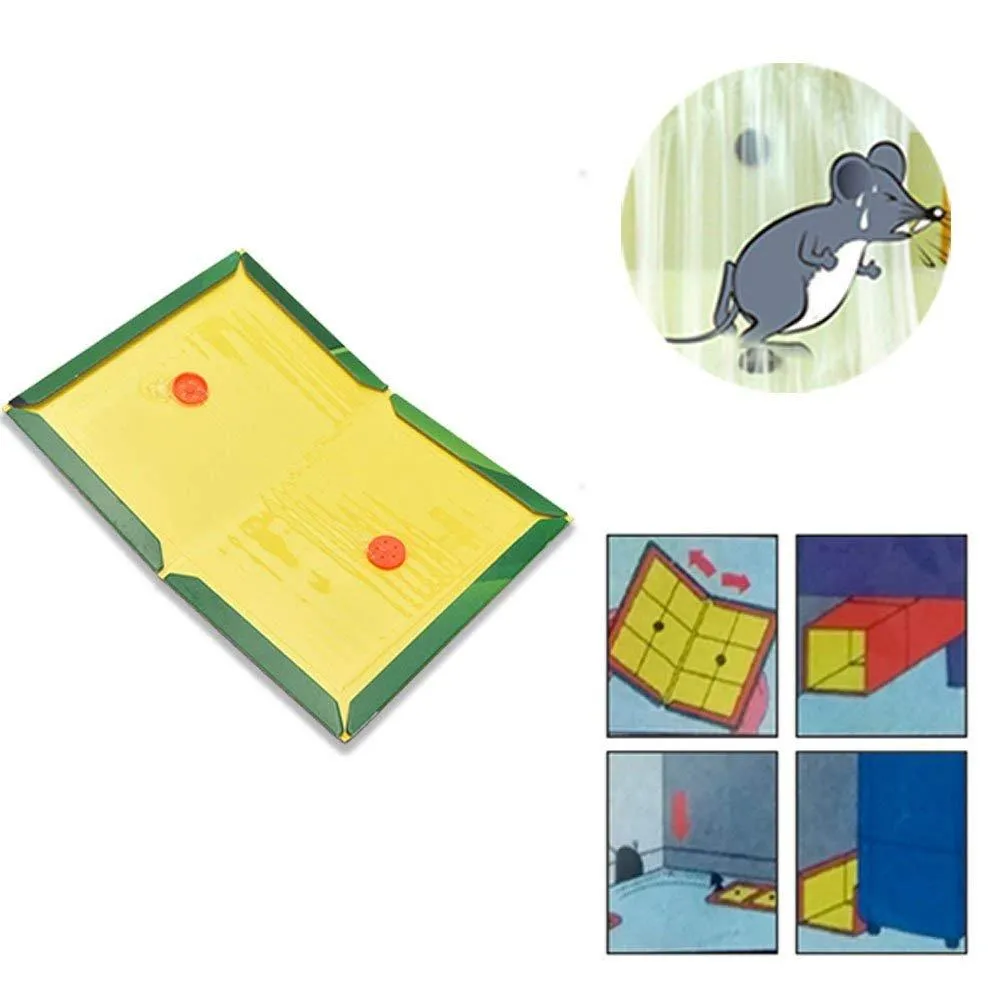 Your Brand Rodent Taps - Mouse Traps Insect Rodent Lizard Rat Catcher Adhesive Sticky Glue Pad